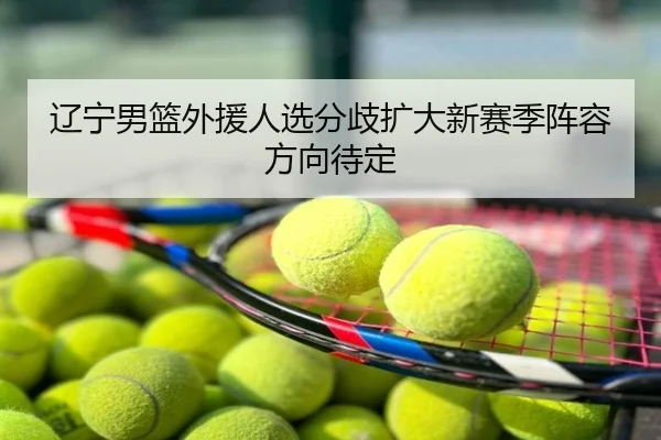 辽宁男篮外援人选分歧扩大新赛季阵容方向待定